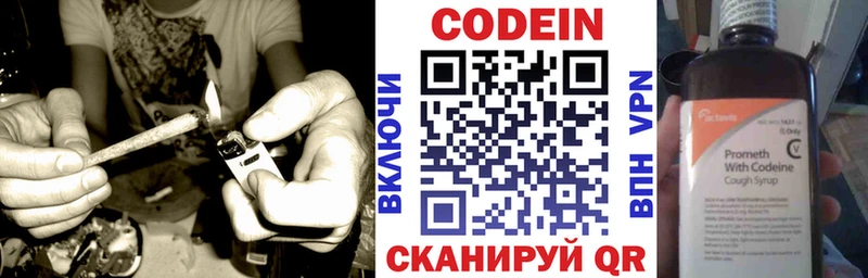 Купить  Новоржев  Кодеиновый сироп Lean Purple Drank 