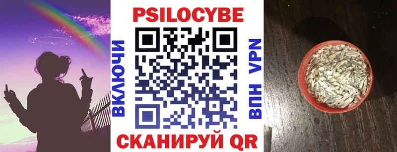 Псилоцибиновые грибы Cubensis  Купить где  Новоржев 