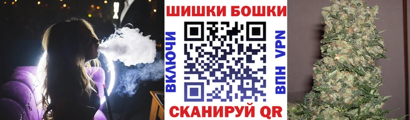 Купить где  Новоржев  Марихуана SATIVA & INDICA 